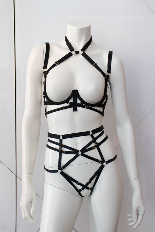 Archive Addict Set Open Choker Bra & High Waisted Knicker